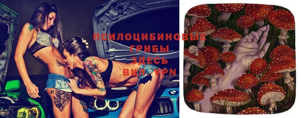 ешки Балахна
